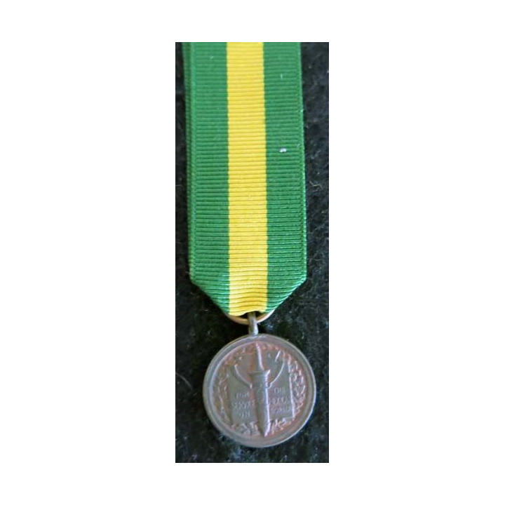 USA : Médaille miniature de la Mexican Border Service Medal (4431)