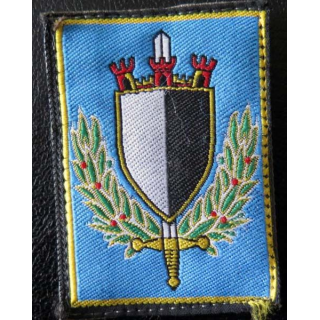RTNE : insigne tissu de la région terre Nord Est sur scratch