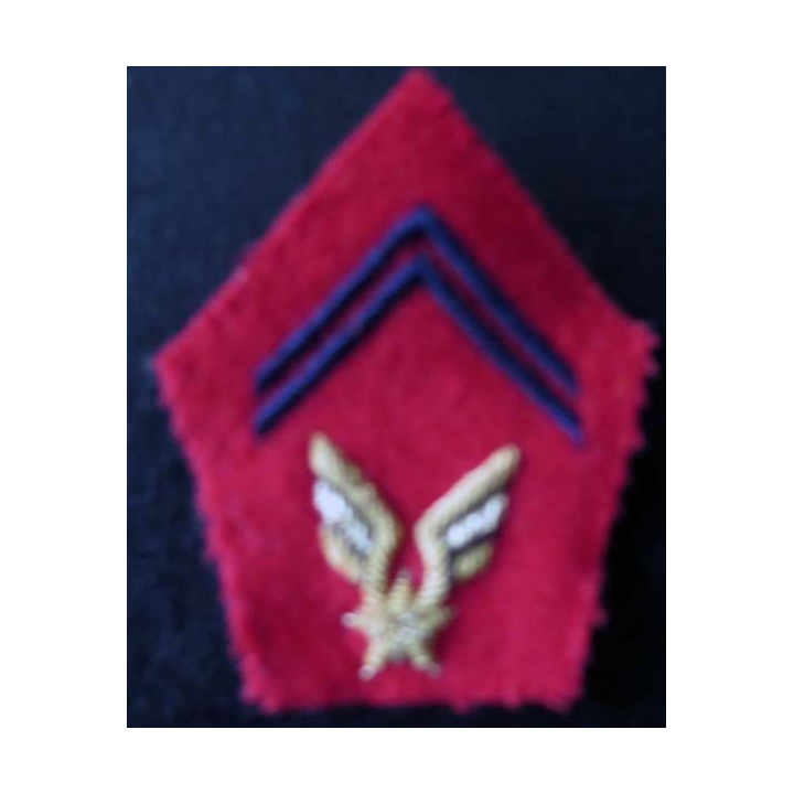 Insigne tissu de col artillerie ALAT cadre en cannetille or