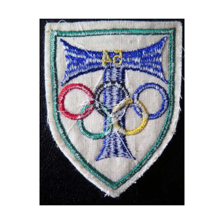 54° RT : Insigne tissu du 54° régiment de transmissions 9 cm de hauteur