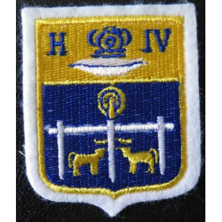 ANPS : Insigne tissu Henry IV de hauteur 6,5 cm
