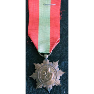 FRANCE :  médaille de la famille française la Patrie reconnaissante en bronze (221)