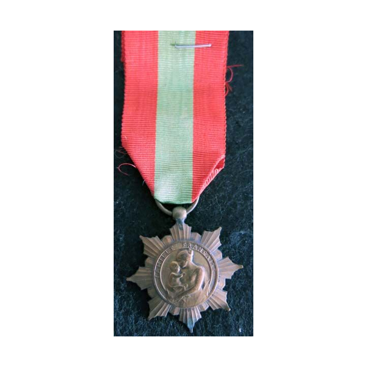 FRANCE :  médaille de la famille française la Patrie reconnaissante en bronze (221)