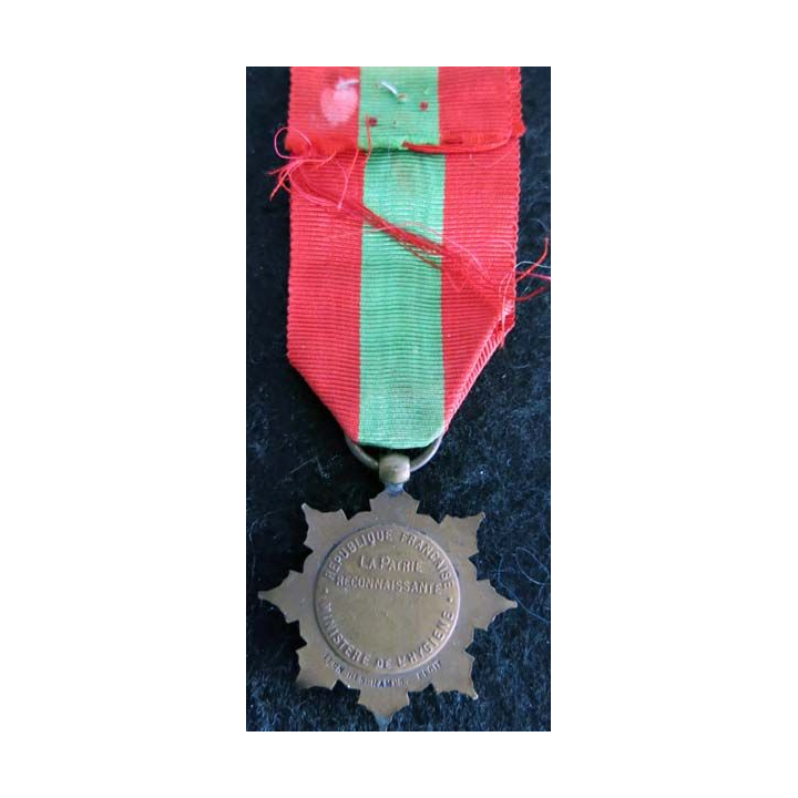 FRANCE :  médaille de la famille française la Patrie reconnaissante en bronze (221)