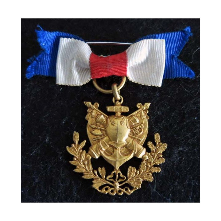 FRANCE : Médaille d'anciens combattants en bronze 1970-1971 et 1914-1918 (221)