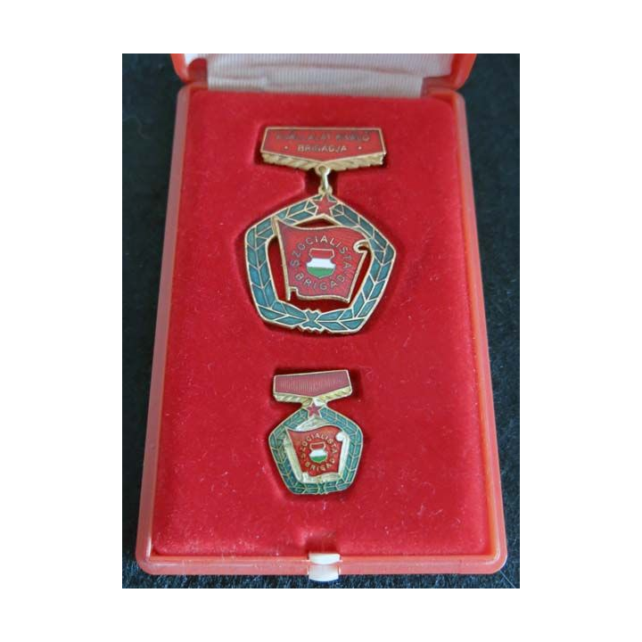 HONGRIE : Médaille du mérite du travail hongrois de la brigade socialiste (223)