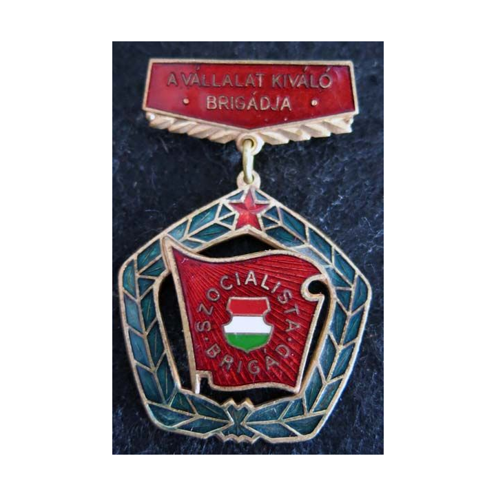 HONGRIE : Médaille du mérite du travail hongrois de la brigade socialiste (223)