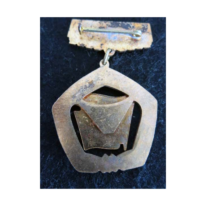 HONGRIE : Médaille du mérite du travail hongrois de la brigade socialiste (223)