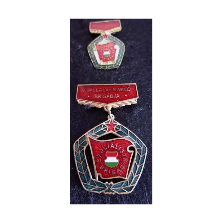 HONGRIE : Médaille du mérite du travail hongrois de la brigade socialiste (223)