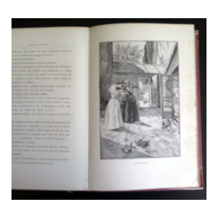 Vieux livres FLEUR DE FRANCE par Pierre MAËL 1896 Hachette TOFANI