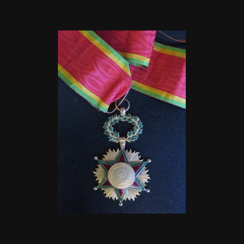 MEDAILLE DU DEVOUEMENT PAR ROTY CLASSE OR