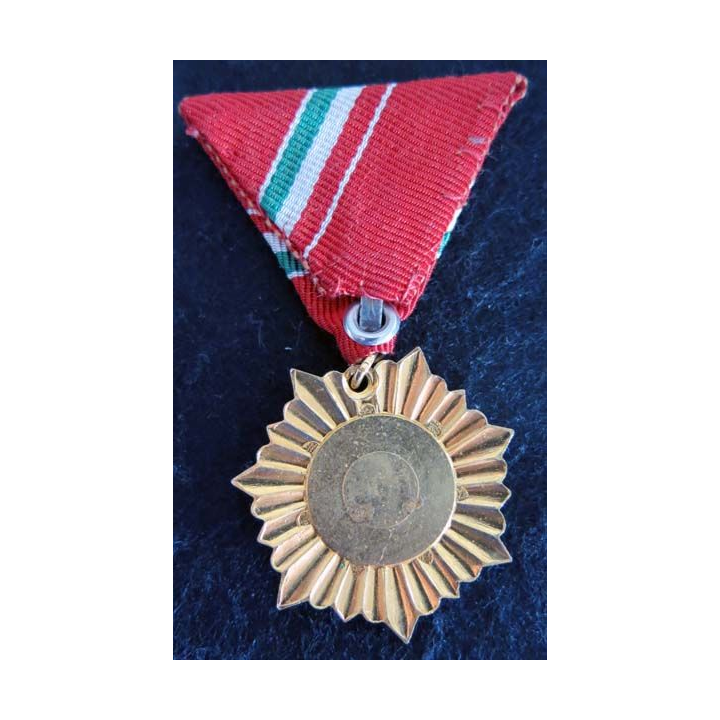 HONGRIE : médaille de la Croix-Rouge hongroise grade or en émail ruban rouge
