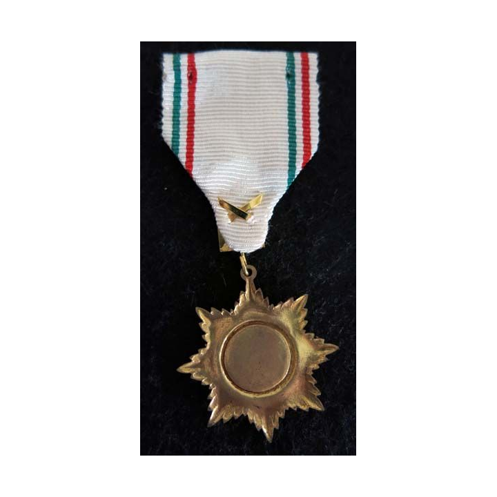 HONGRIE : Médaille Magyar Vöröskereszt de la croix rouge hongroise ruban blanc