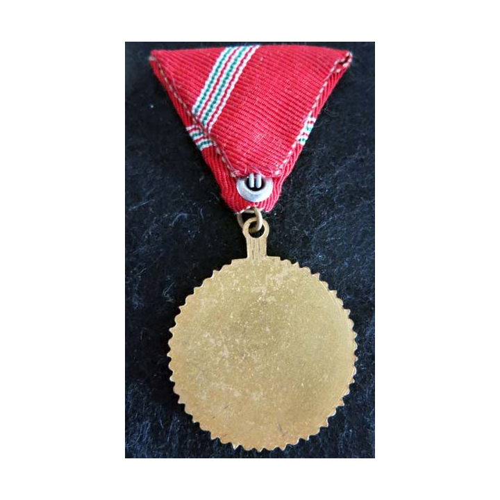 HONGRIE : médaille du prix ​​de l'organisation du don de sang de la Croix-Rouge hongroise