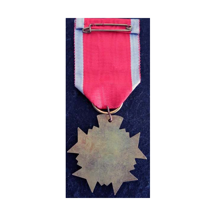 FRANCE : médaille du mérite artistique et musical en émail