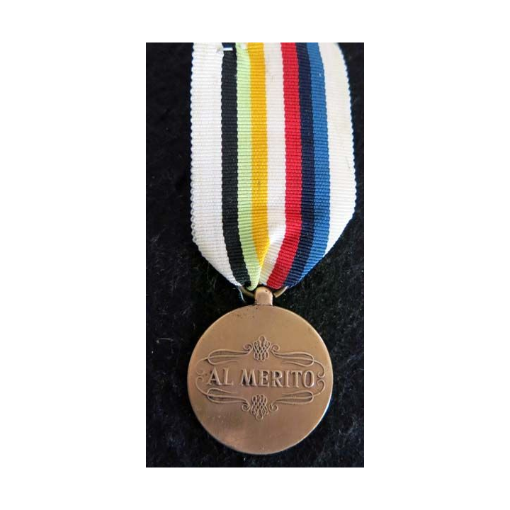 OEA : Médaille du mérite de la Force de paix inter américaine