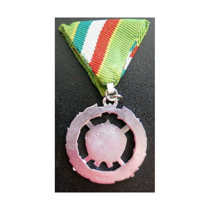 Médaille de la Hongrie de la 2° année du service militaire