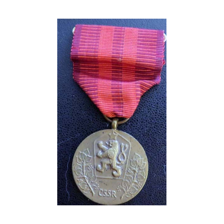 Médaille tchèque du Mérite pour la défense de la patrie en bronze