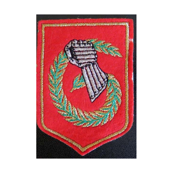 6° DLB : insigne tissu de la 6° division légère blindée
