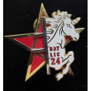 1° RS : Bataillon Licorne BAT LIC du 1° Spahis bataillon 24° Mandat