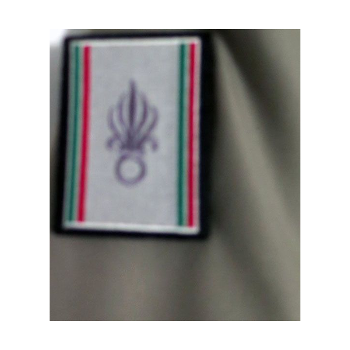 Veste terre de France de la Légion étrangère 