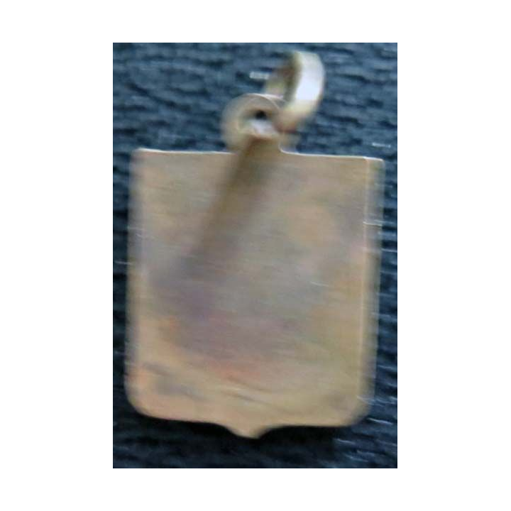 BLASON INCONNU : insigne métallique ancien blason en émail 11 x 16 mm