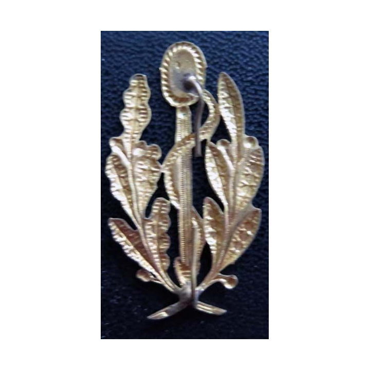 Insigne métallique du service de santé 