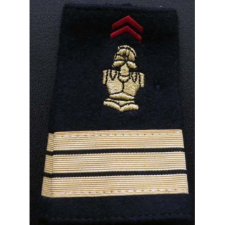 Fourreau de capitaine du génie (vendu par paire)