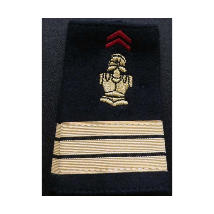 Fourreau de capitaine du génie (vendu par paire)
