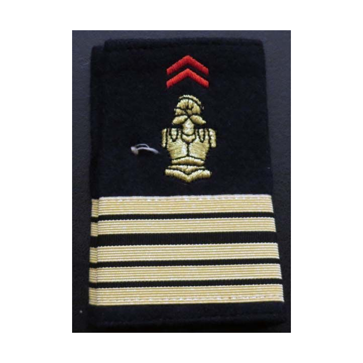 Fourreau de colonel du génie (vendu par paire)