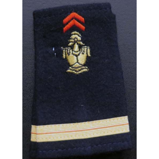 Fourreau d'adjudant chef du génie masculin  (vendu par paire) 