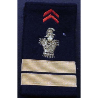 Fourreau de Lieutenant du génie (vendu par paire) 