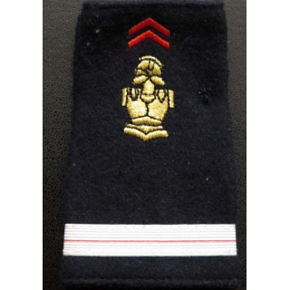 Fourreau d'adjudant du génie