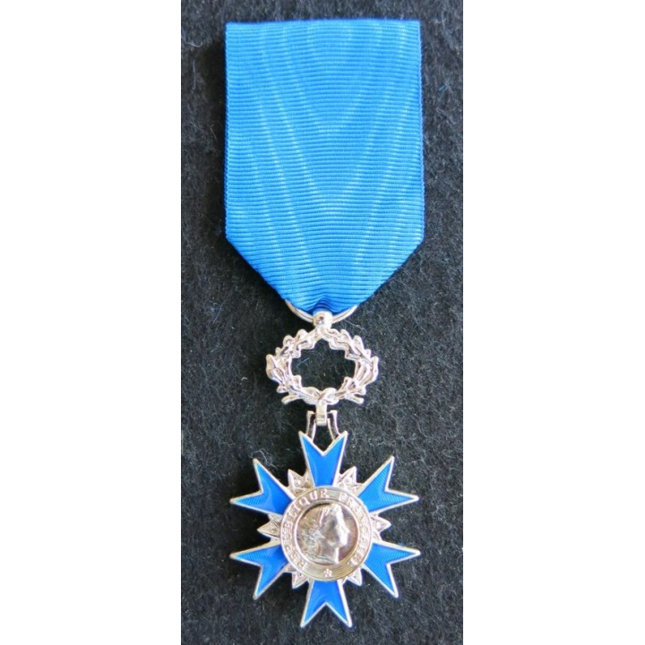 FRANCE : médaille de chevalier de l'Ordre National du Mérite en bronze argenté