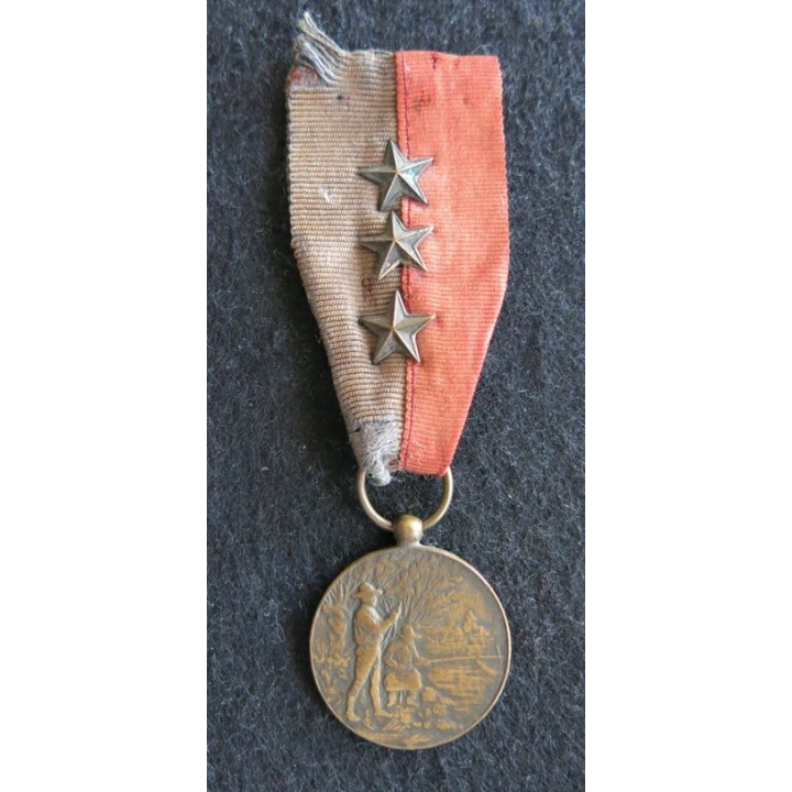 FRANCE : médaille d'honneur de société de pêche poinçon bronze avec étoile