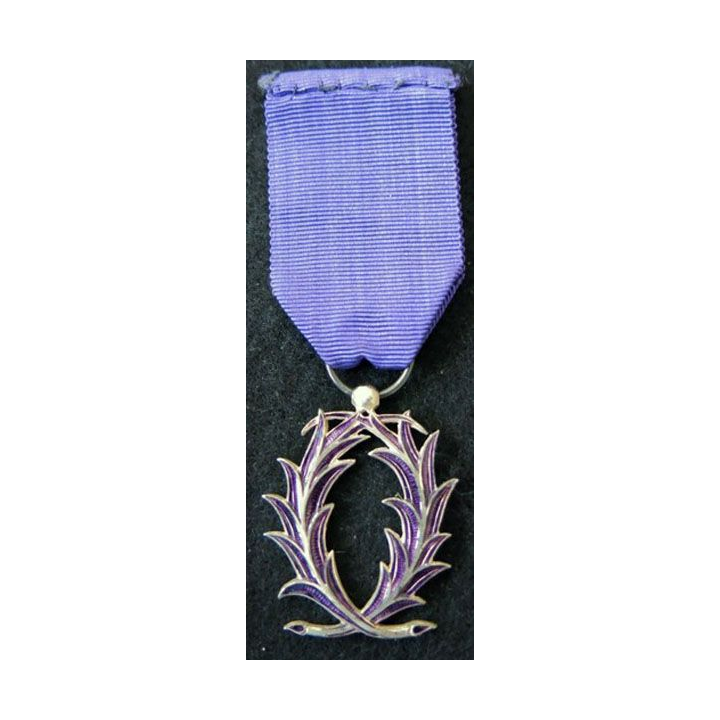 FRANCE : médaille de chevalier de l'Ordre des Palmes Académiques modèle en émail