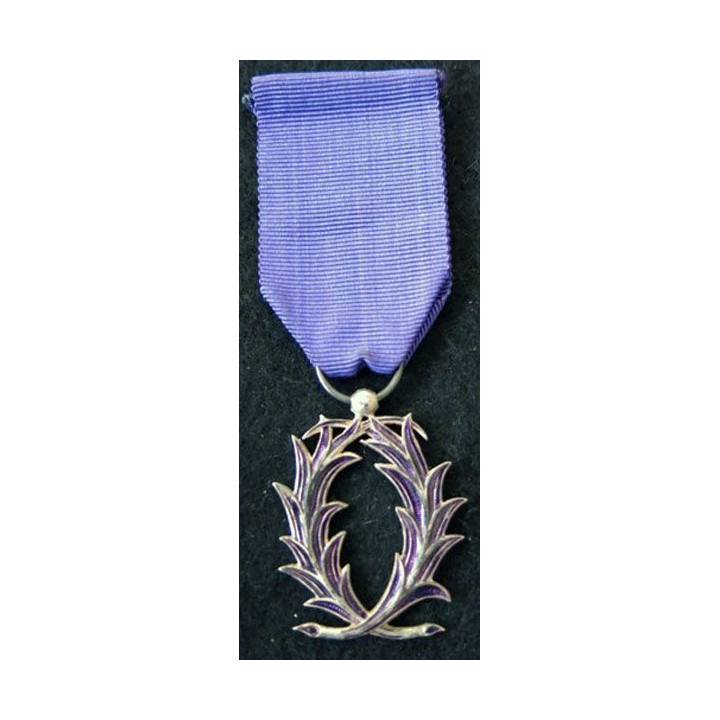 FRANCE : médaille de chevalier de l'Ordre des Palmes Académiques modèle en émail