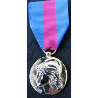 FRANCE : médaille des services militaires volontaires en métal doré