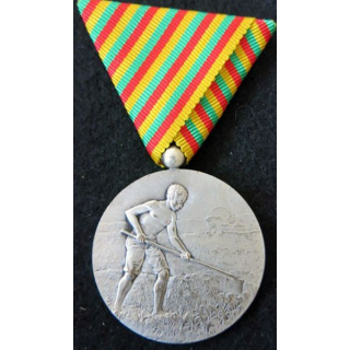 CAMEROUN : médaille de l'Ordre du mérite Camerounais modèle 1946
