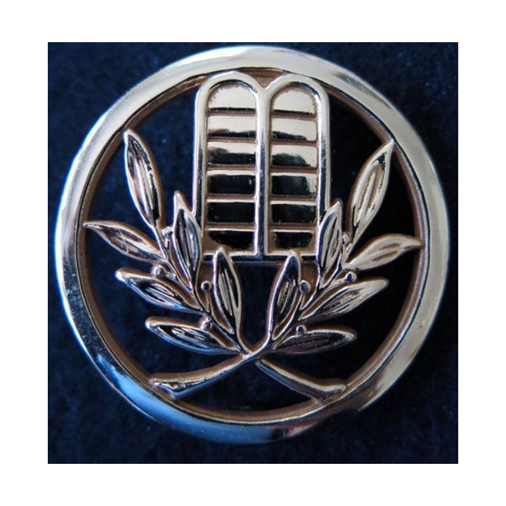 INSIGNE DE BERET  : Insigne de béret d'aumônier israélite dos embouti en métal doré