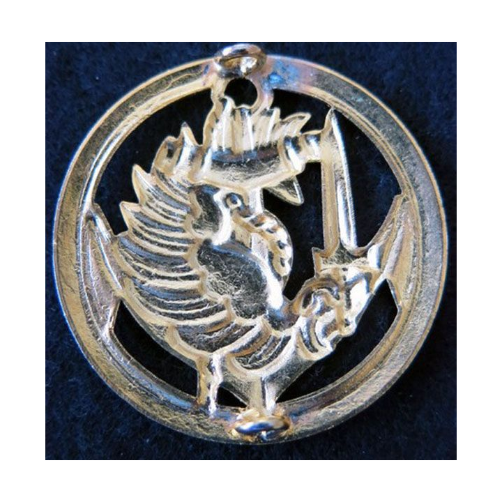 PARA : insigne de béret cerclé des troupes parachutistes aéroportées des troupes de marine en métal doré embouti