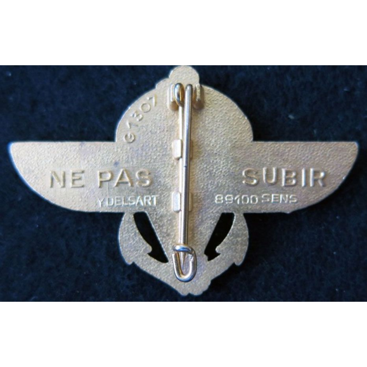 2° RPIMA : insigne métallique 2° régiment parachutiste d'infanterie de marine devise "ne pas subir" Delsart G. 1307