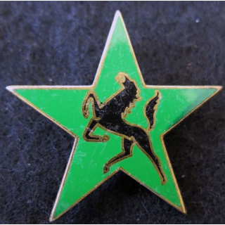 EED 5° DB : insigne métallique de l'escadron d’éclairage divisionnaire de la 5° division blindée Drago G. 2822