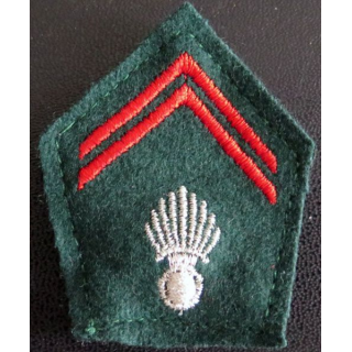 Insigne tissu de col train cadre