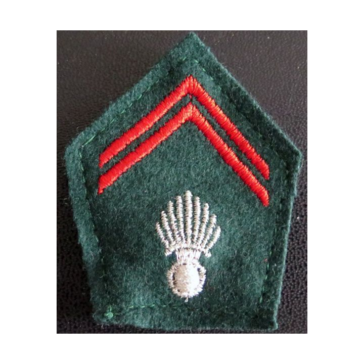Insigne tissu de col train cadre