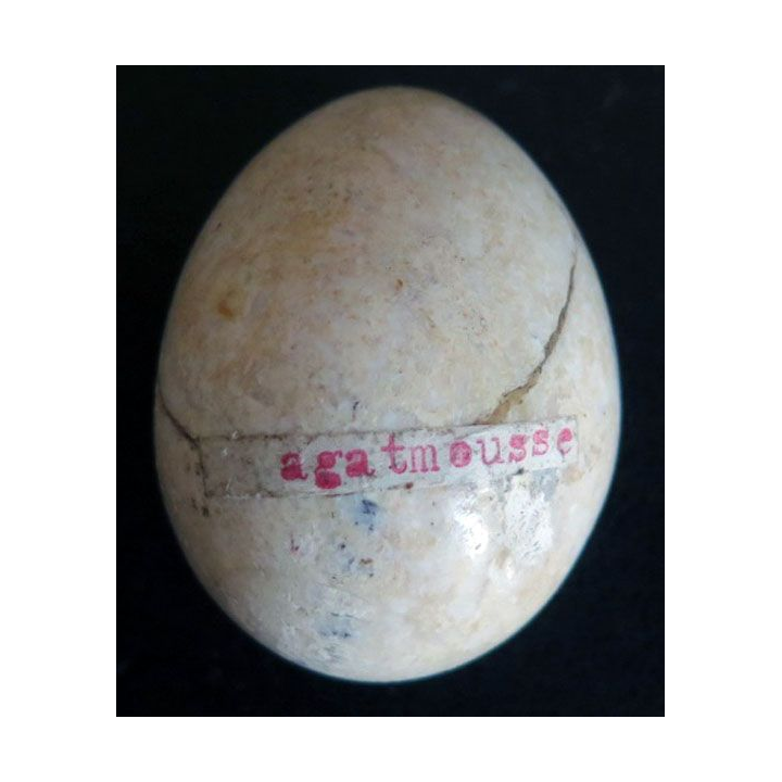 OEUF EN PIERRE 18 hauteur 4,5 cm couleur blanc beige rose agatemousse