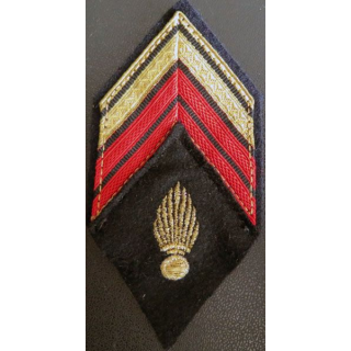 LOSANGE DE BRAS MODÈLE 45 : Caporal Chef ADL du corps des experts