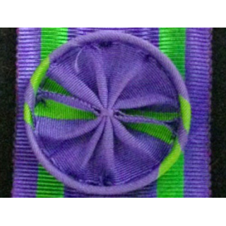 RUBAN INCONNU : OFFICIER VIOLET A BANDES VERTES SUR CÔTÉS