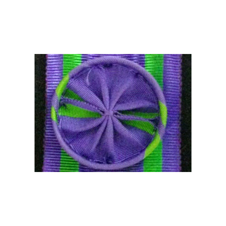 RUBAN INCONNU : OFFICIER VIOLET A BANDES VERTES SUR CÔTÉS