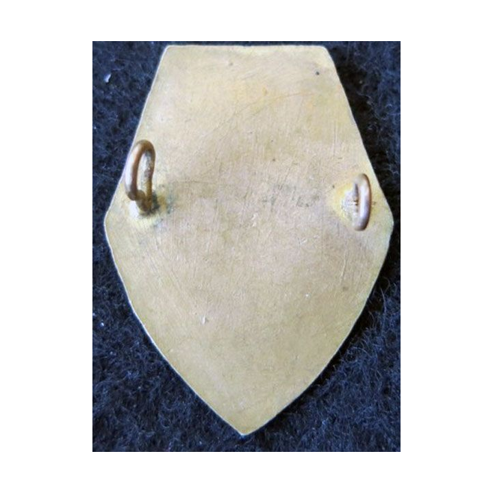 149° RI : insigne métallique du 149° régiment d'infanterie de forteresse sans marquage de fabrication en bronze doré